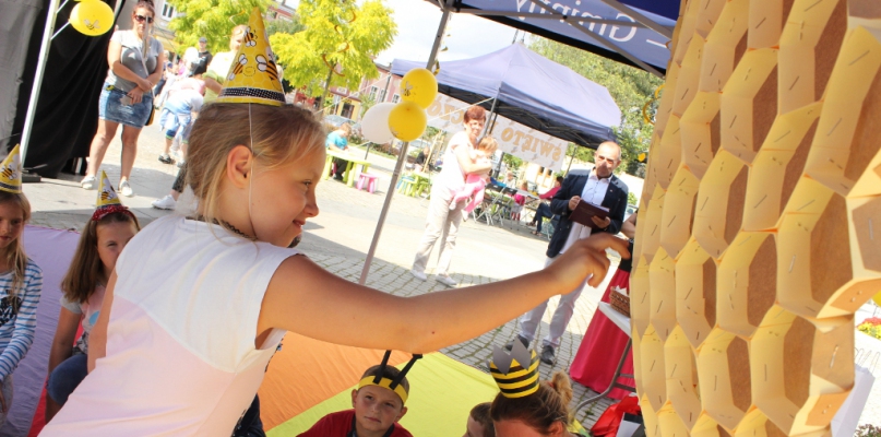 Więcbork: Półkolonie letnie z pożytecznymi owadami w tle - fot. Sławomir Stencel