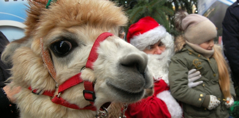 Więcborski Jarmark Mikołajkowy już za nami - fot. Paweł Szydeł