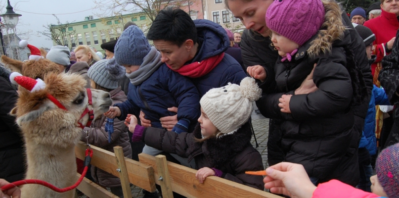 Kolędowanie przy więcborskiej żywej szopce - fot. Paweł Szydeł