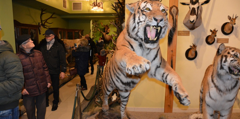 Safari w Śmiłowie - fot. Przemysław Nawrot, Katarzyna Jabłońska