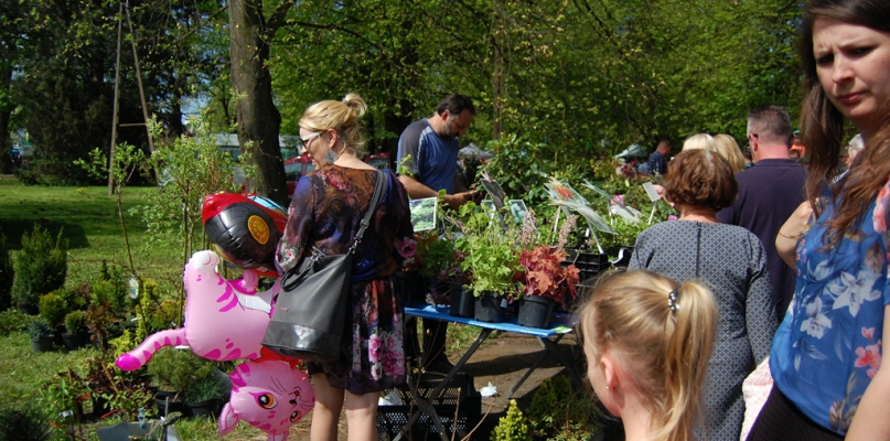 IV Powiatowe Targi Ogrodniczo-Rolnicze za nami - fot. Ewa Szydeł