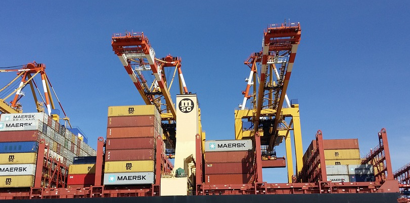 Na czym polega kontrola celna i jakie obowiązki ma kontrolowany?