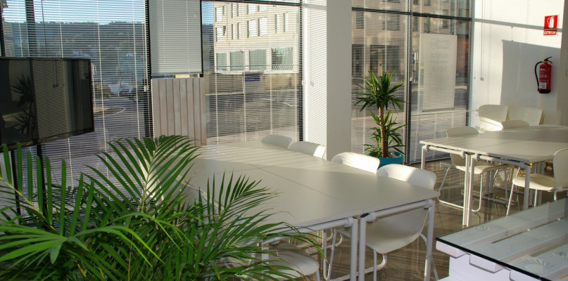 Dlaczego warto zdecydować się na rolety plisowane?