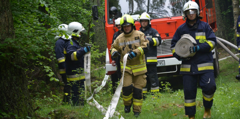 Krajeński Gaj 2019 - fot. Marcin Misiak