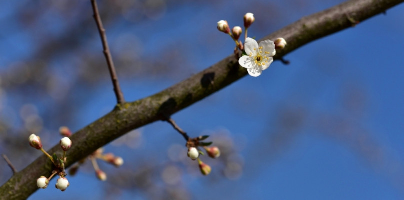 fot. Grzegorz Tomasik