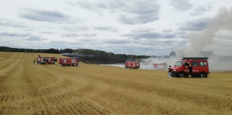 Zmagania strażaków z szalejącym na polu żywiołem - fot. st.asp. Kazimierz Wiebskowksi