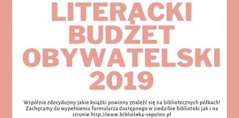 Budżet literacki w sępoleńskiej bibliotece