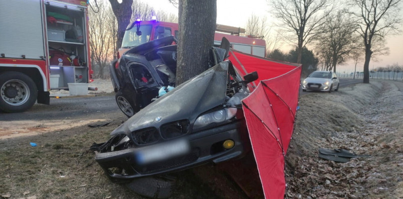 Wielkopolskie: trzech młodych mężczyzn zginęło w nocnym wypadku