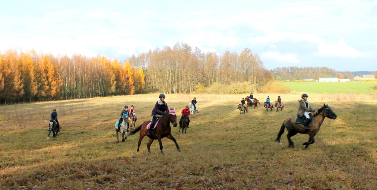Jeszcze takiego chytrego  lisa nie widziałem. Hubertus w Wituni w stajni pp. Wojci
