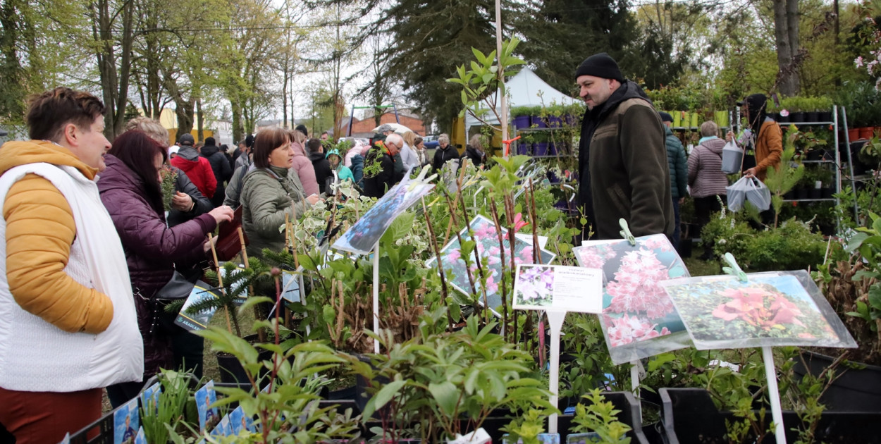 VIII Powiatowe Targi Rolniczo-Ogrodnicze Sypniewo 2024 - cz. 2