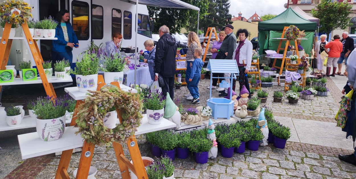 XII Lawendowy Jarmark Świętego Jakuba - Urząd Miejski w Człuchowie