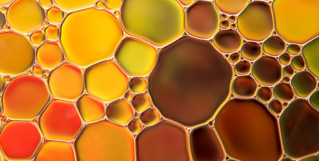 Oleje i smary Total Energies - czym się wyróżniają?