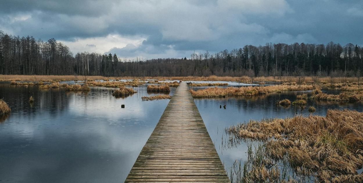 Jak zaplanować wieczór kawalerski w Białymstoku? Propozycje na niezapomnianą zabaw
