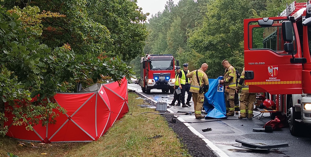 Wielkopolska: Tragiczny wypadek na trasie Wągrowiec-Rogoźno - fot. KPP Wągrowiec
