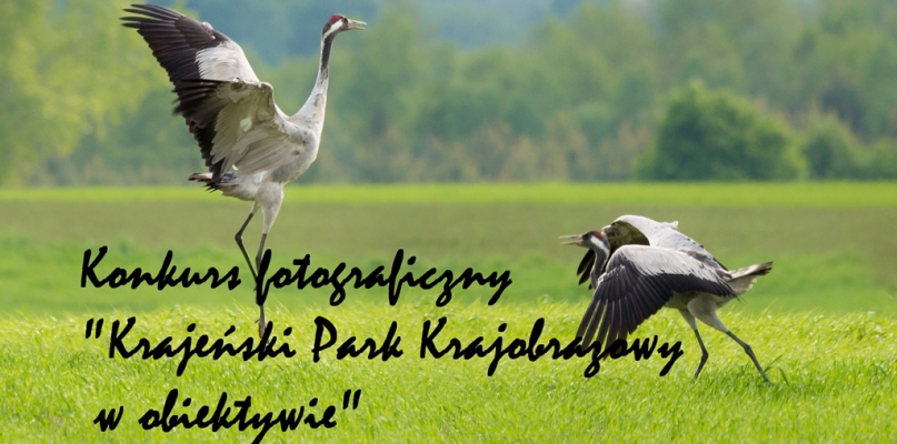 Krajeński Park Krajobrazowy po dwuletniej przerwie wznawia konkurs fotograficzny