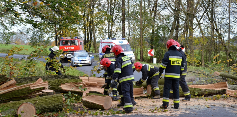 Powiat sępoleński: Drzewo spadło na samochód - fot. Marcin Misiak