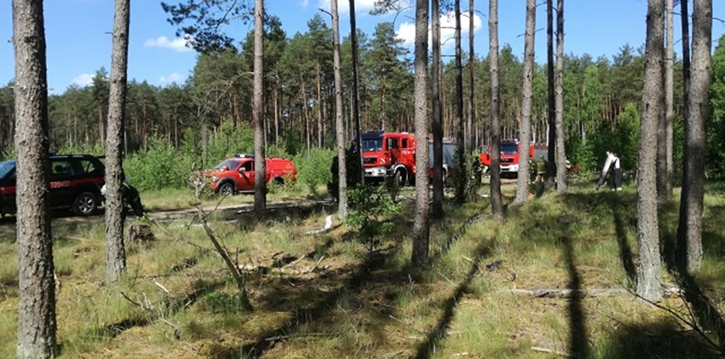 Strażacy z powiatu złotowskiego są gotowi do działań gaśniczych na obszarach leśnych - fot. KP PSP Złotów