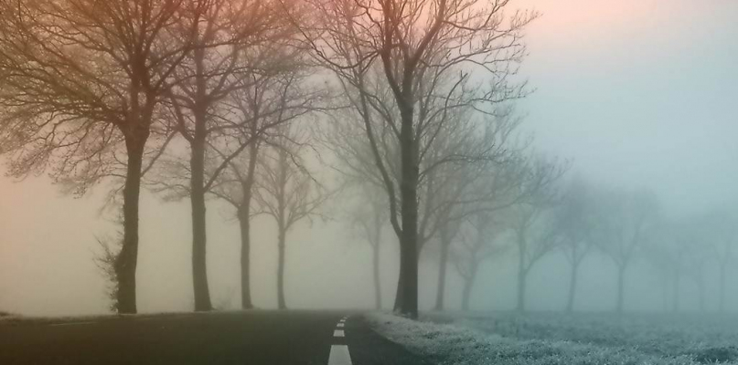 Ostrzeżenie meteorologiczne! Gęste mgły na Pomorzu i Kujawach - fot. Pixabay