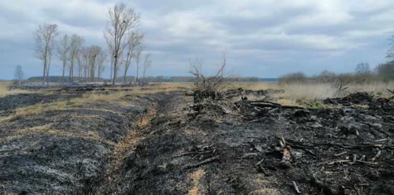 Rozległy pożar trzcinowiska w Kruszynie Krajeńskim. Ponad 11 godzin trwała akcja strażaków - fot. OSP Łochowo