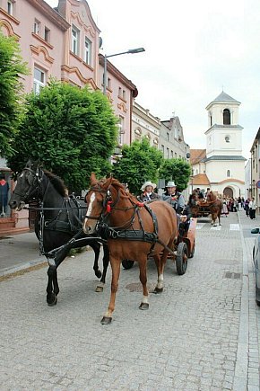 Dożynki Powiatowo-Gminno-Parafialne w Mroczy-3512