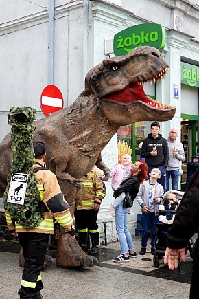 Sensacyjne znalezisko w Sępólnie Krajeńskim-3833