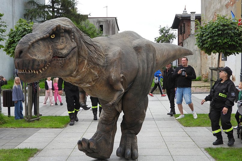 Sensacyjne znalezisko w Sępólnie Krajeńskim