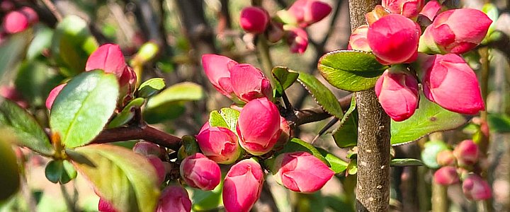 e-krajna.pl na Facebooku