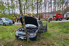 Pijany kierowca z sądowym zakazem uderzył pojazdem w drzewo-27832