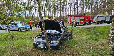 Pijany kierowca z sądowym zakazem uderzył pojazdem w drzewo-27832