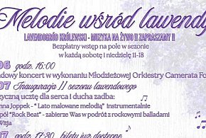 Lavendogród Królewski zaprasza na wydarzenia!-28281