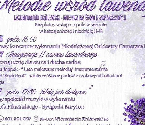 Lavendogród Królewski zaprasza na wydarzenia!-28281