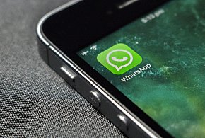 WhatsApp się zmienia. Czy aplikacja będzie płatna?-28301