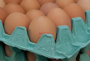 Salmonella na jajach znanej marki. Nie jedz, jeśli masz je w lodówce!-28481