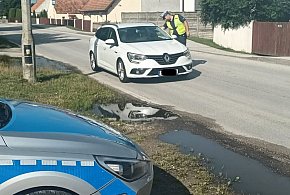 Kontrole trzeźwości na drogach powiatu nakielskiego-29197