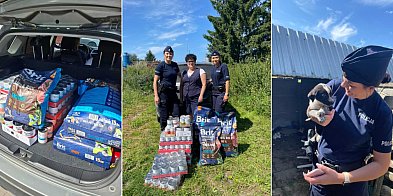 Więcbork: Policjanci z pomocą dla miejscowego przytulis-29302