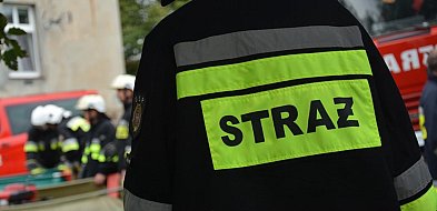 Poznań/ 23 strażackie zastępy gaszą pożar poddasza bloku przy ul. Krańcowej-29355
