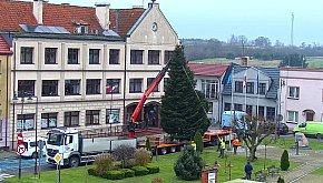 Na kamieńskim rynku stanęła świąteczna choinka - K