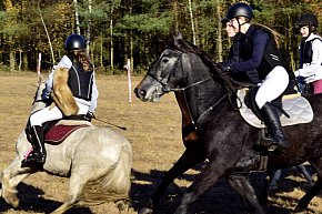 Gmina Więcbork: Hubertus w Sypniewie-4091