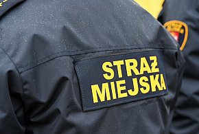Zapuka strażnik, zapłacisz karę. Ruszyły kontrole w całej Polsce-30853