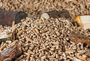 Drożeje popularny opał. Miliony Polaków dostaną po kieszeni tej zimy-31276