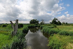 Co dalej z nowym parkiem narodowym? Minister klimatu zdradza plan po wecie-31593
