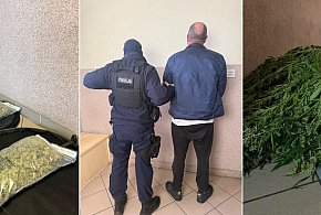 Debrzno: Nielegalna uprawa konopi zlikwidowana przez człuchowskich policjantów-31935