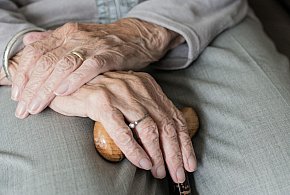 Te osoby dostaną dwie emerytury w grudniu. ZUS przesuwa przelewy-31954