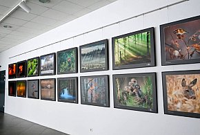 Sztuka Natury 2025 w Toruniu-32070