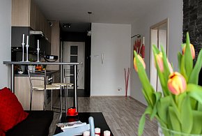 Rewolucja w wynajmie na doby. Nadchodzi koniec "wolnej amerykanki"-32163