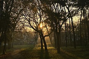 Nadchodzi najkrótszy dzień w 2025 roku. Sprawdź, kiedy przypadnie-32507