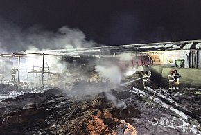 Pożar budynku inwentarskiego w miejscowości Topola gmina Łobżenica-33079