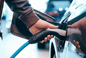 Coraz częściej dochodzi do takich kradzieży. Powody zaskakują-33378