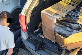 11,5 kilograma marihuany i blisko 800 tysięcy złotych przejęte przez bydgoskich po