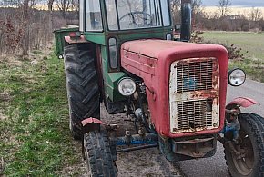 Powiat człuchowski: Ursus „udający” Zetora. 59-latek odpowie za przestępstwo